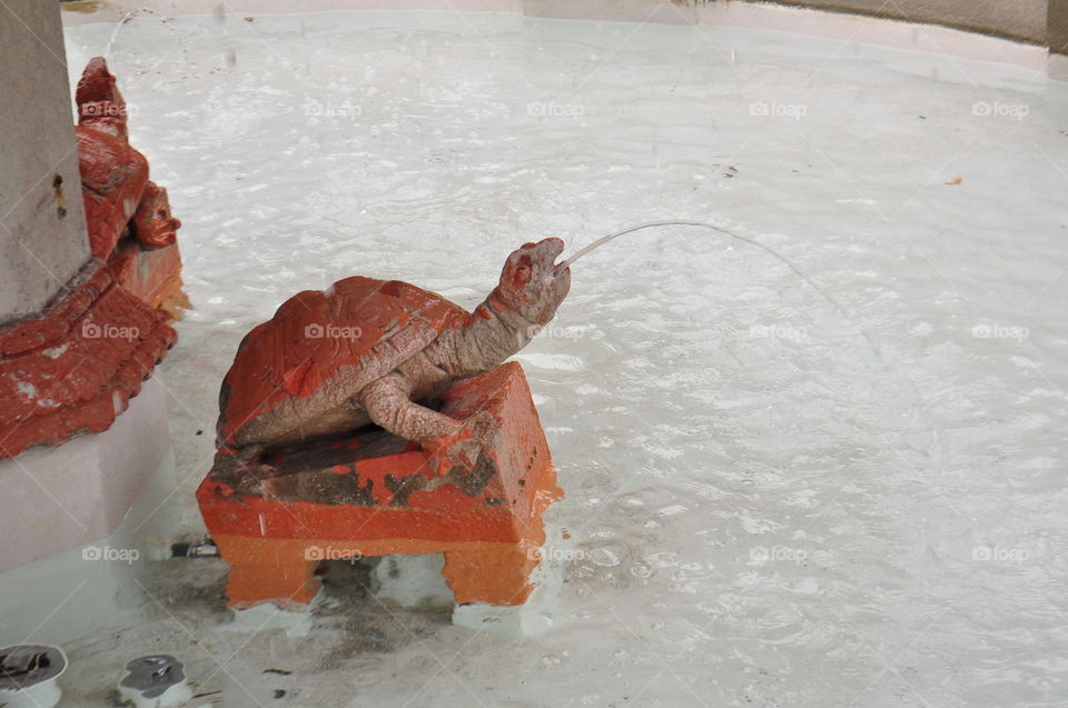 spouting turtle. Turtle in fountain