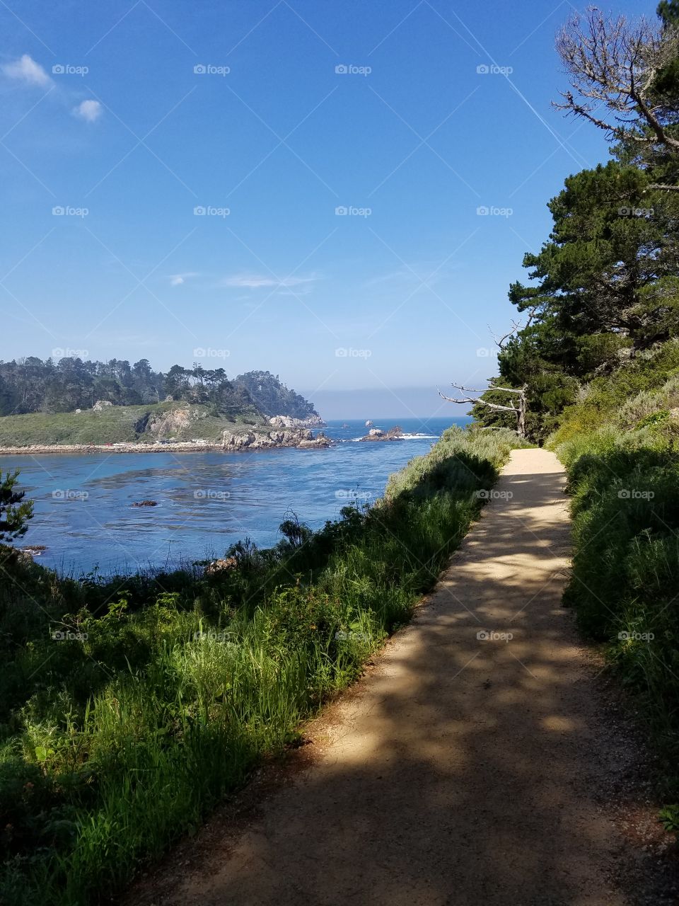 Point Lobos.