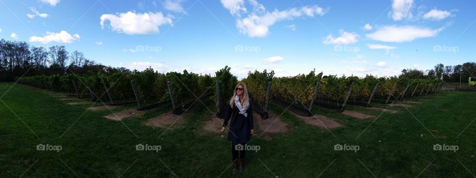 Long Island Vineyards