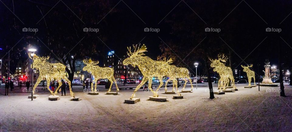 christmas light elks stockholm