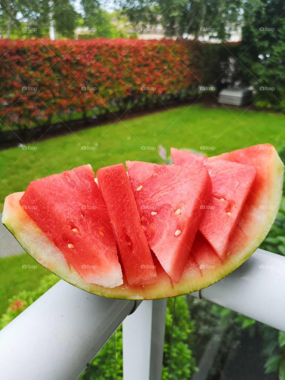 tropical fruit watermelon