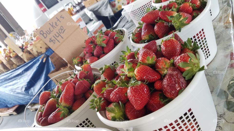 Strawberries Buckets at the NC State Farmers Market in Raleigh