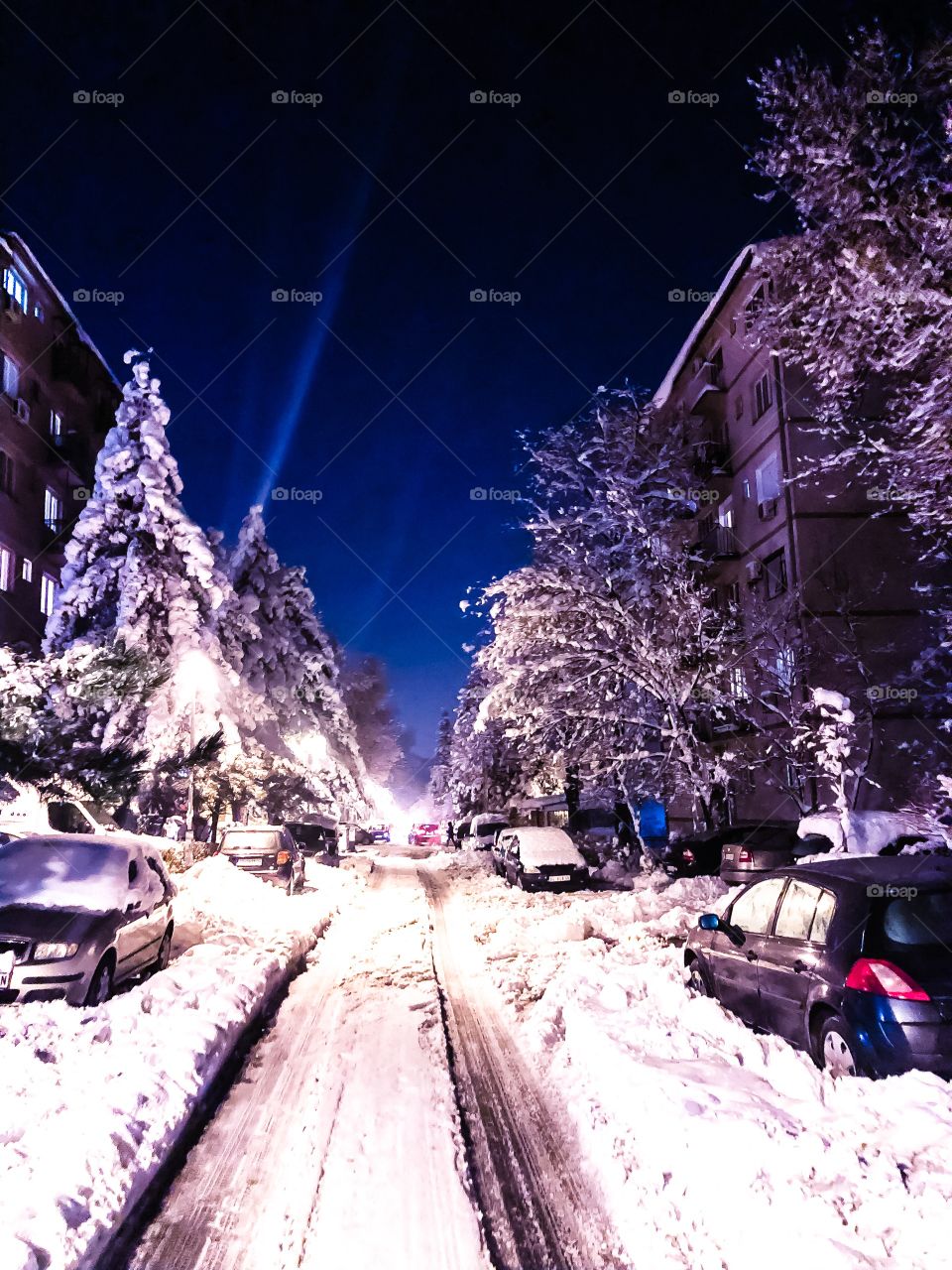 Belgrade winter
