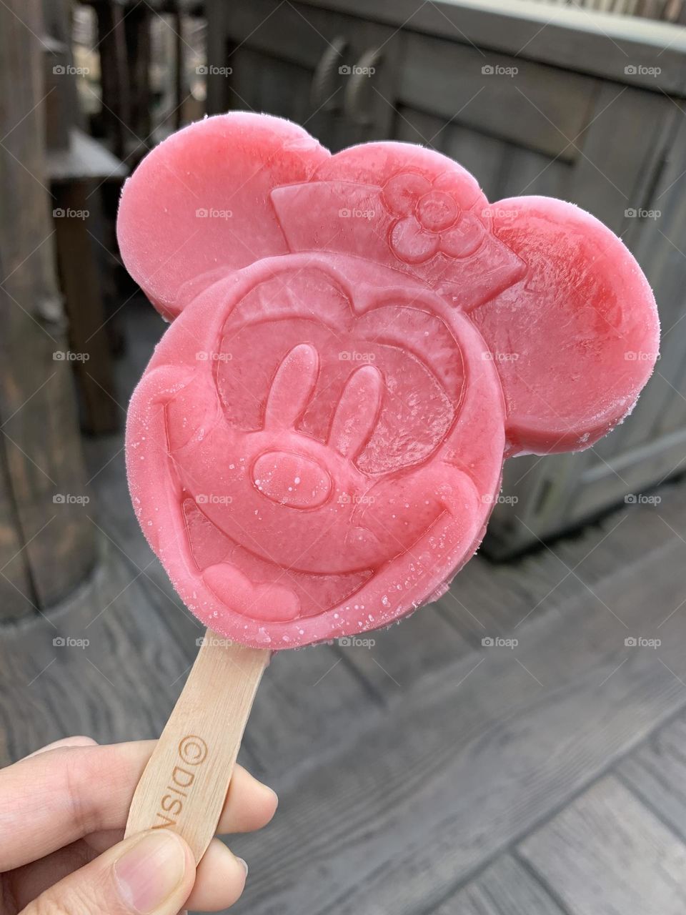 Minnie Mouse Ice Cream bar - Tokyo Disneyland