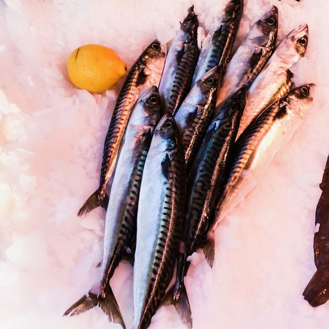 Fish 