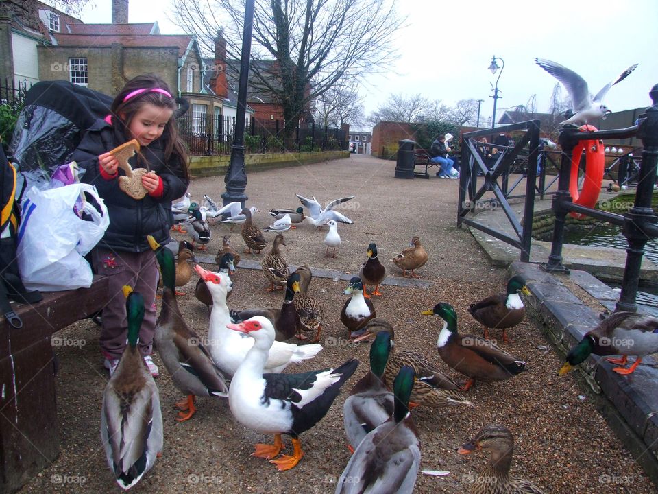 Feeding the ducks