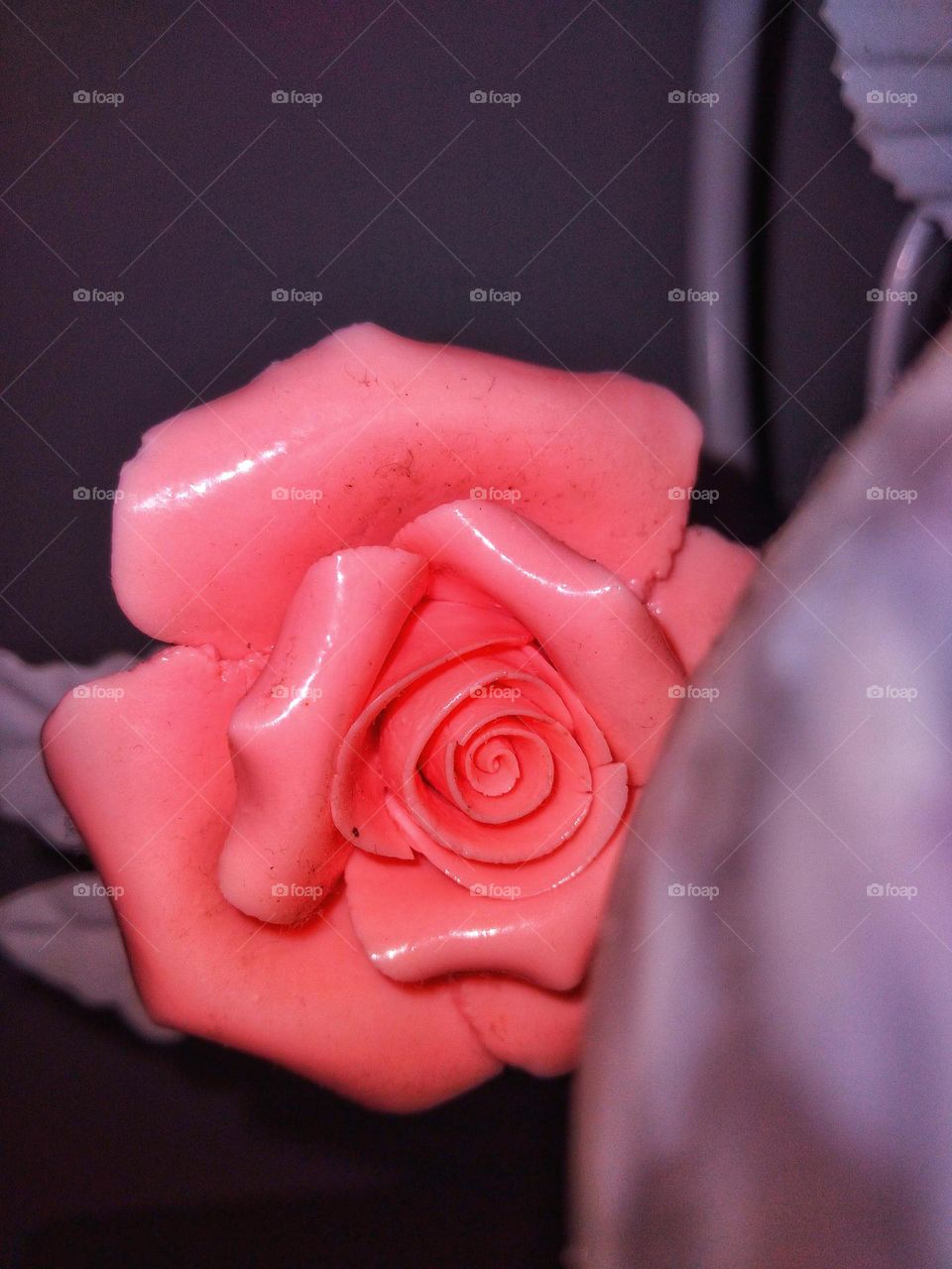 Beautiful pink rose in my bedroom
nature ❤