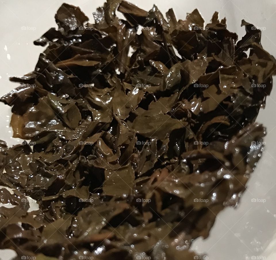 what can you see in my tea leaves 