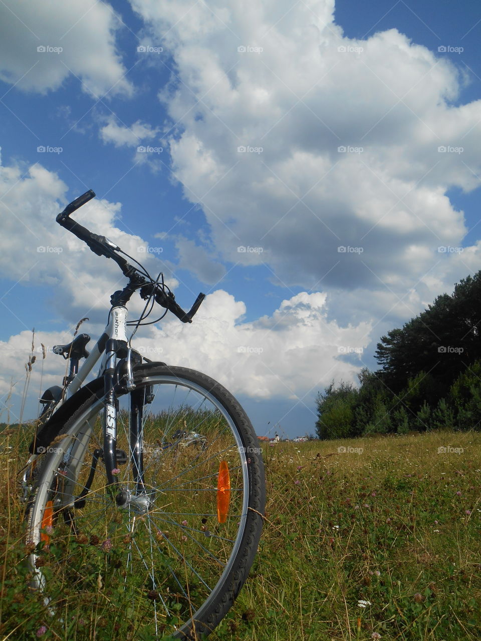 Wheel, Bike, No Person, Cyclist, Outdoors