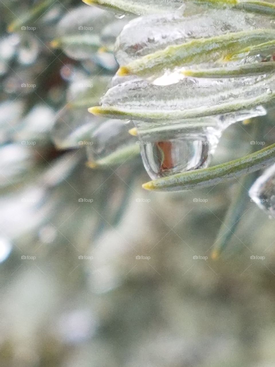 Frozen Drop
