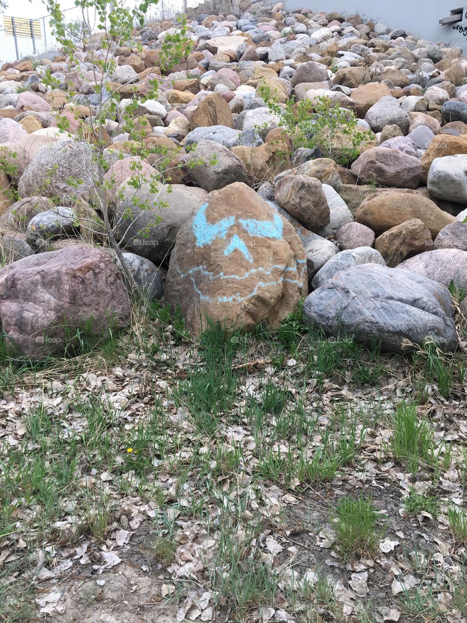 The only painted rock we found on our nature walk along the South Saskatchewan River in Medicine Hat, Alberta, Canada, with a face painted in blue, and it was too big and heavy to carry home