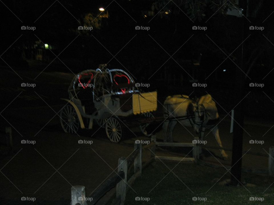 Romantic carriage pulled by horse around the bay 