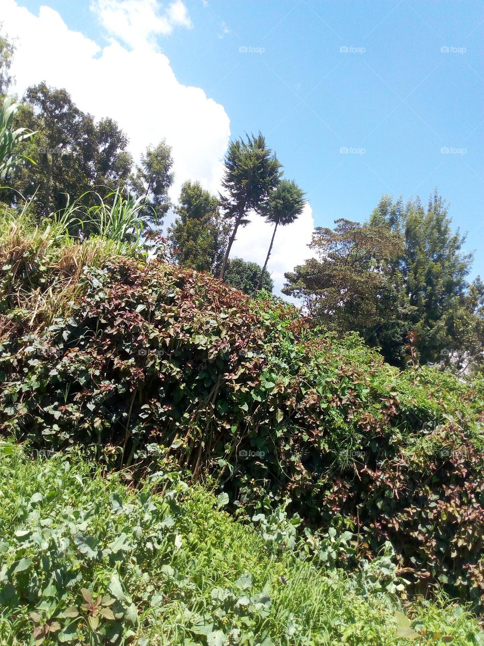 A breath of fresh air