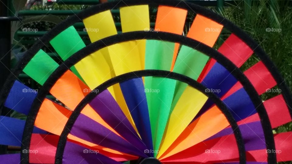 Color Wheel. Garden Decoration 