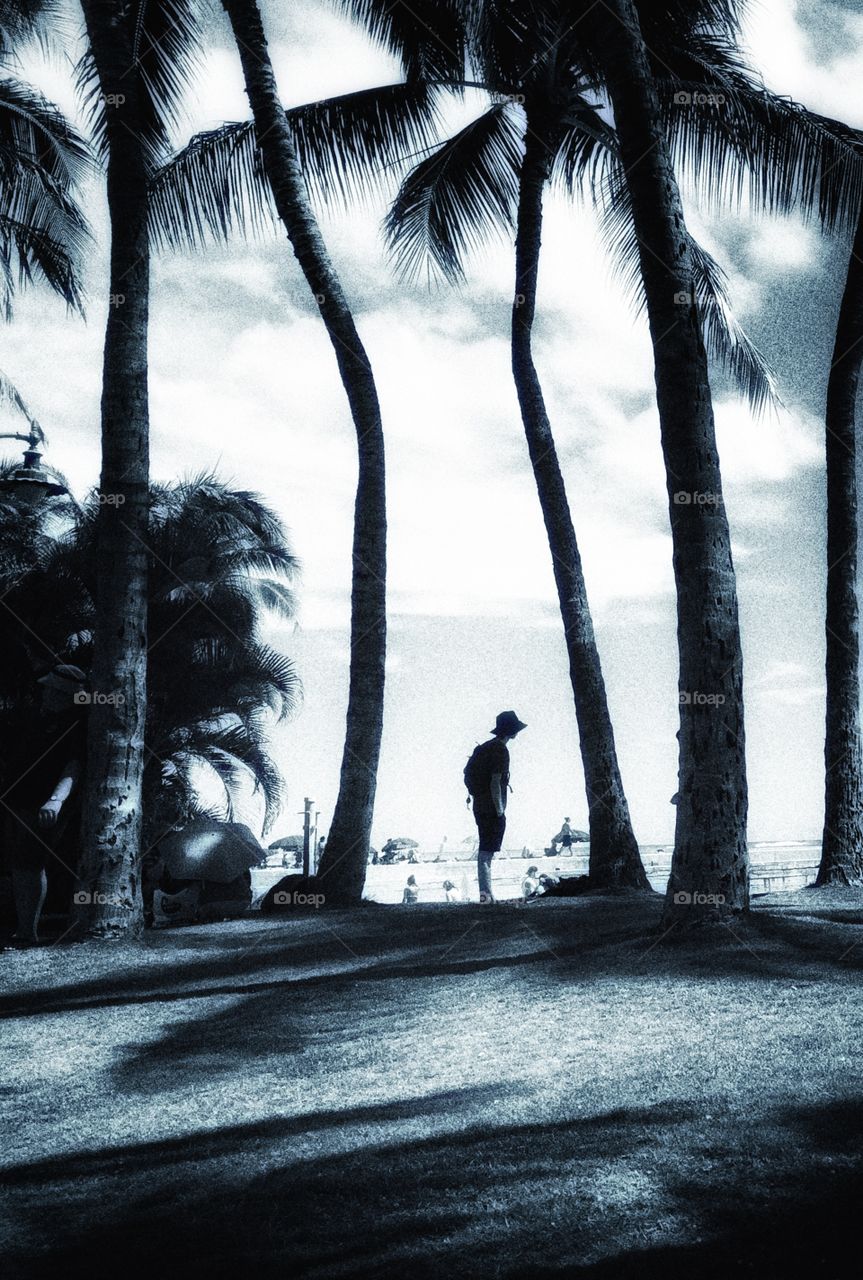 Alone in Honolulu 