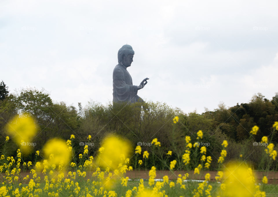 Buddha statue and yellow flowers