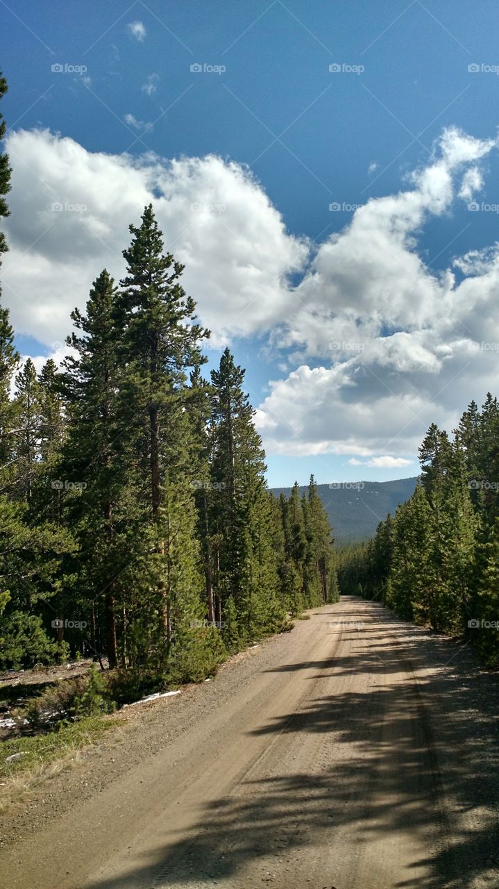 Wyoming landscape