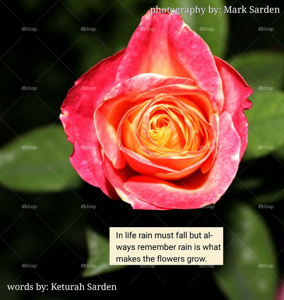 words from the heart