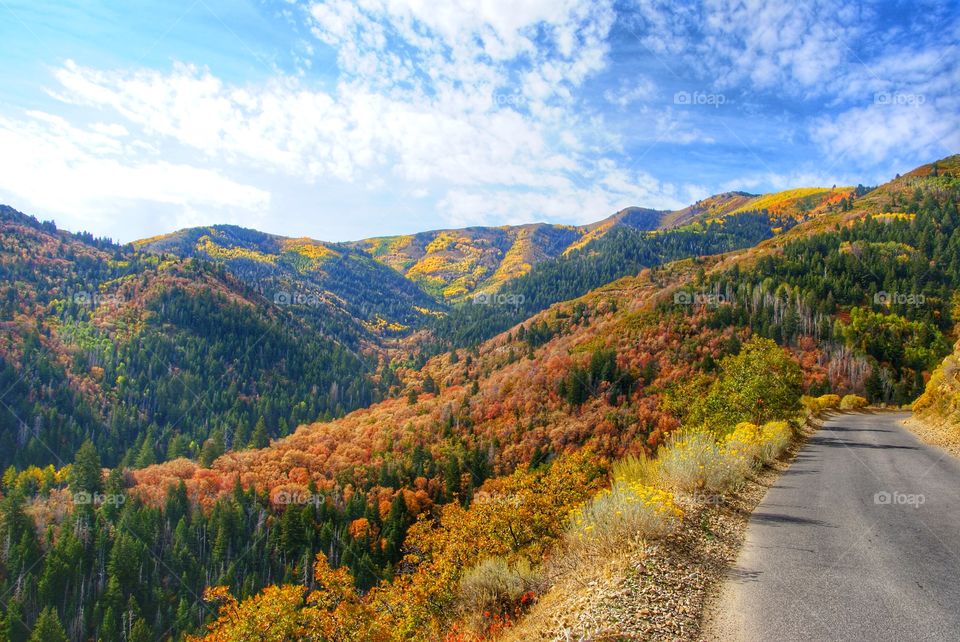 Scenic view of mountain road in autumn