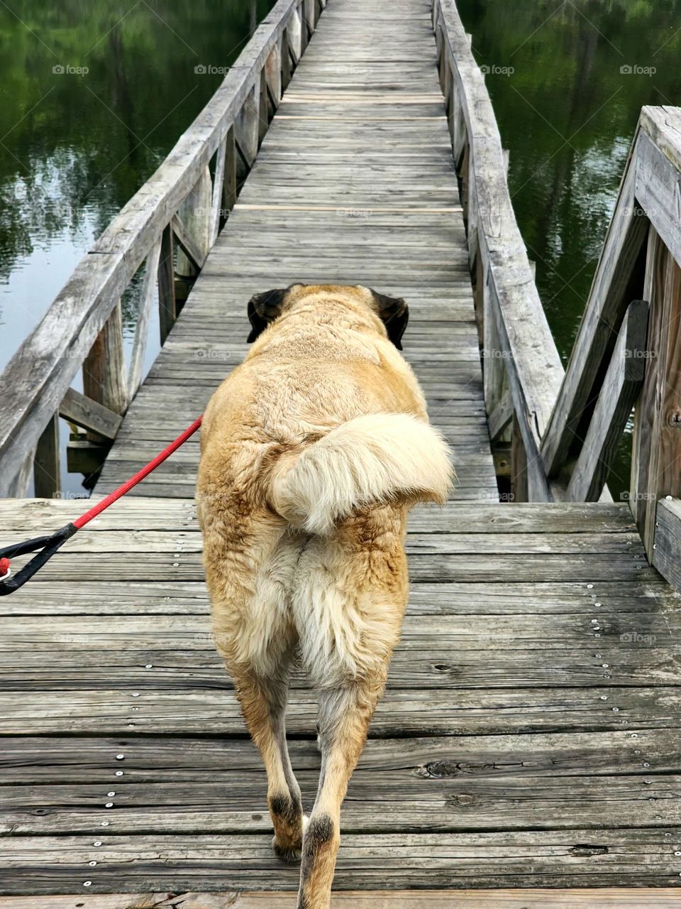 Patron leading the way