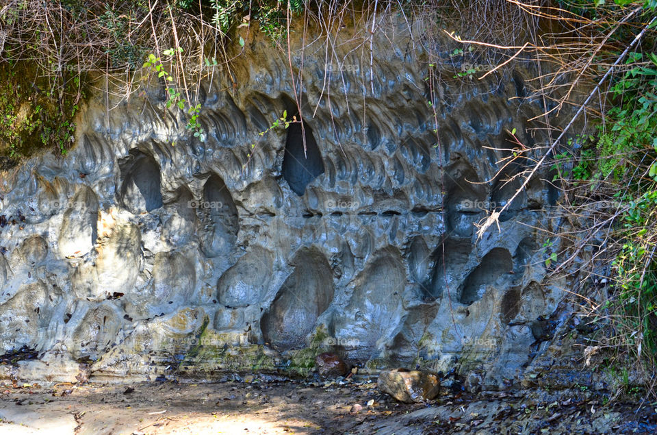 Mountain and mud bath 
