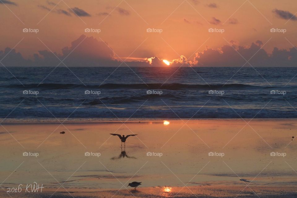 Ocean Beach Sunrise