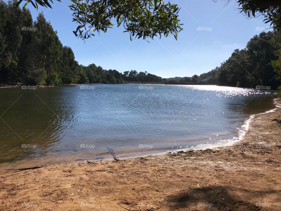 Water, No Person, Tree, Travel, Landscape