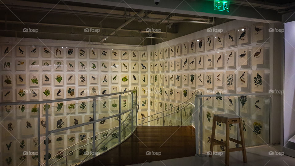 Itau Cultural, SP- BR