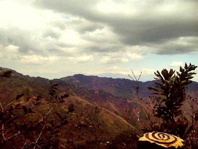mountain