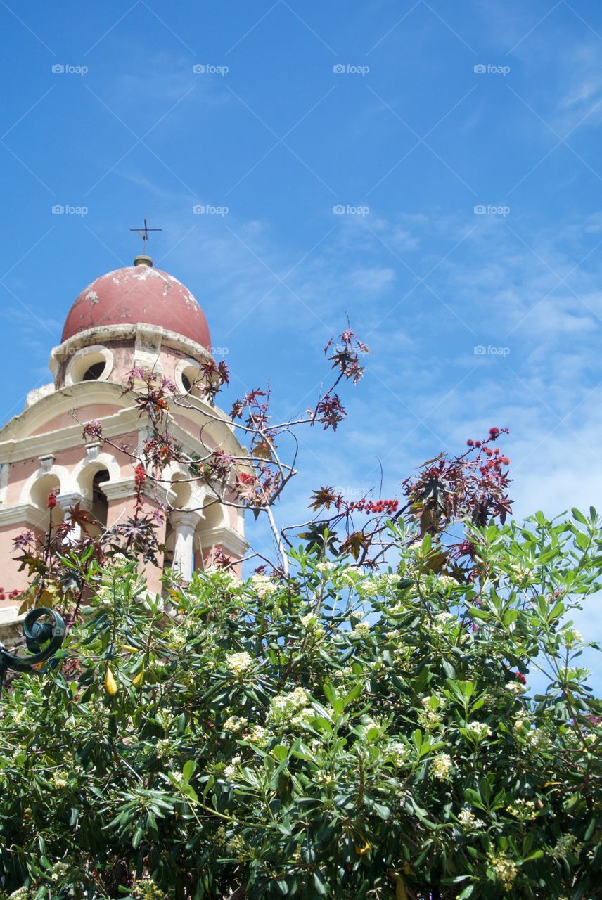 Leaves obscure view of pastel bell tower