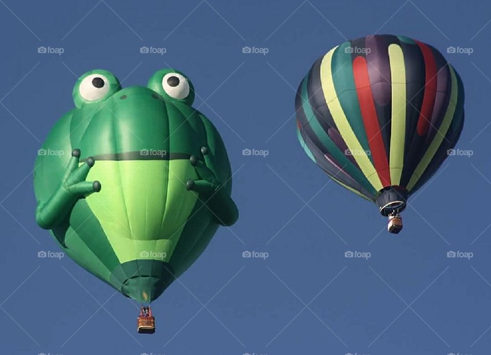 Hyla the Frog Balloon & another balloon