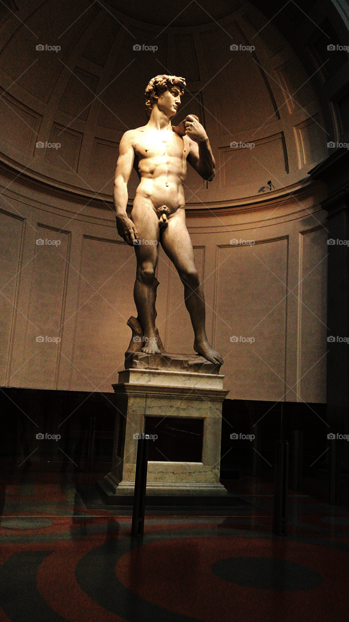 David de miguel angles, Florence⚜️