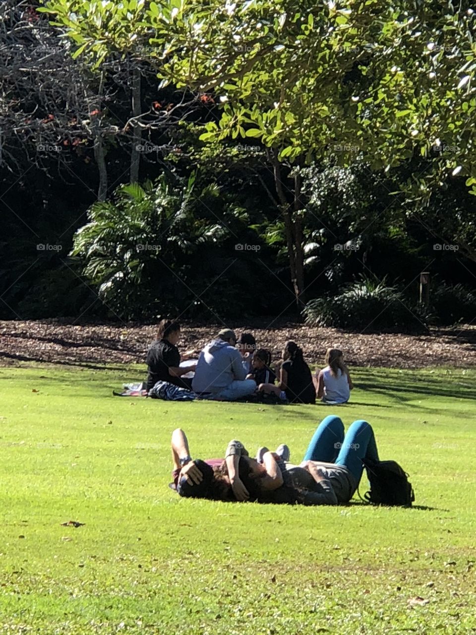 Relaxing in the park 