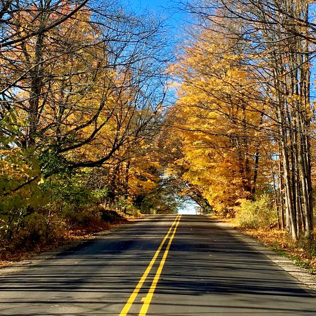 Yellow road to nowhere