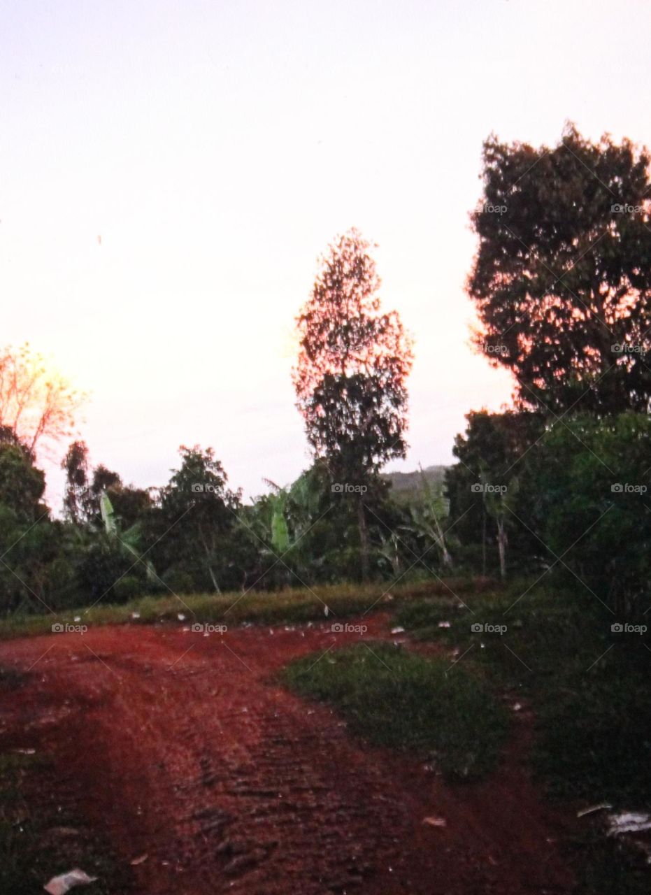 The intersection of the path is still dirt and has just been pioneered towards a remote village which is currently under construction.