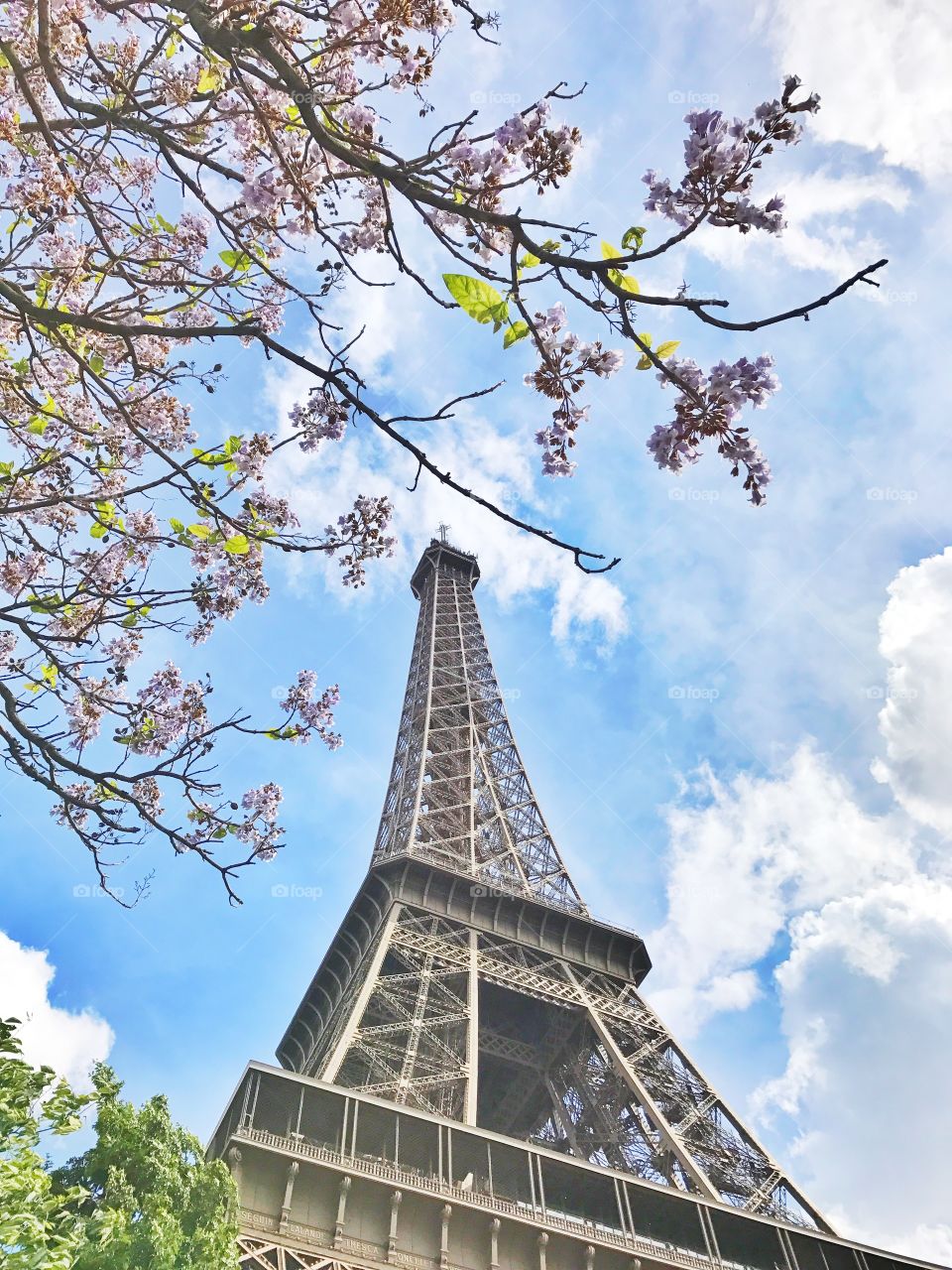 Eiffel Tower in Paris, France 