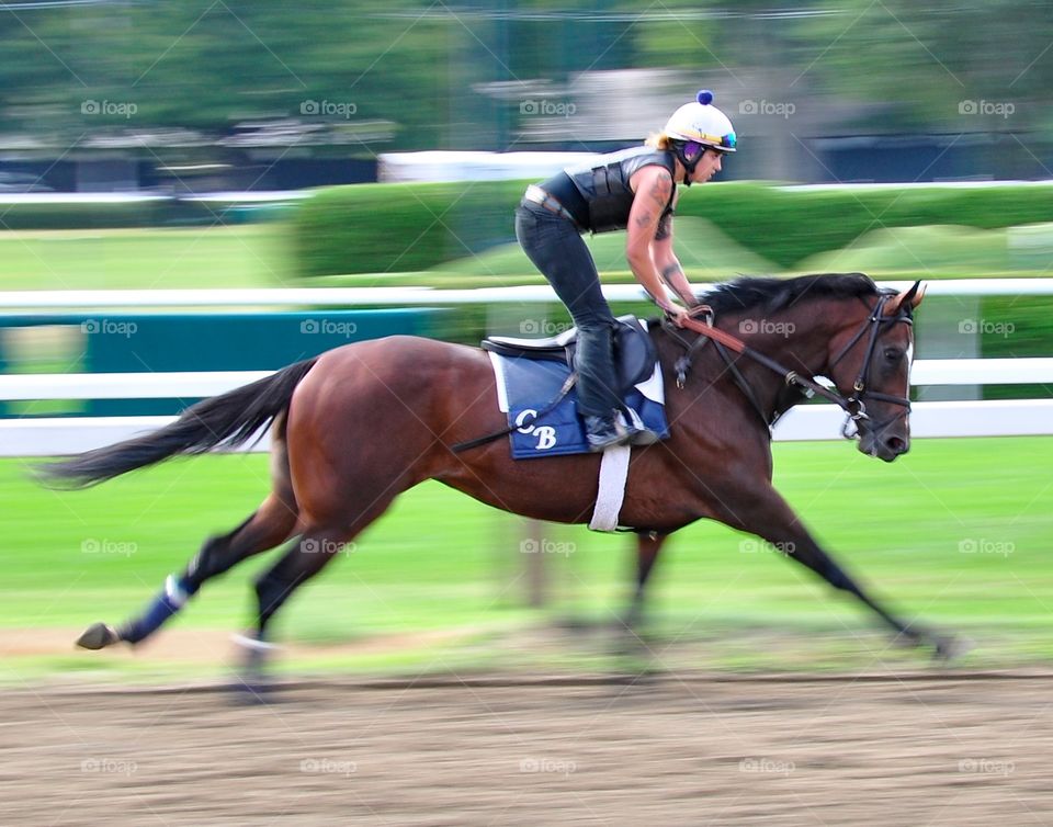Chad Brown Speedball. This award winning photo of a Chad Brown speedball was shot to show motion blur as this colt flew by me.
Fleetphoto