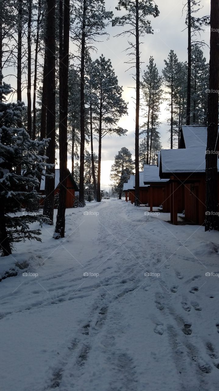 Cabins in the Snow at Five Pines Lodge in Sisters, OR