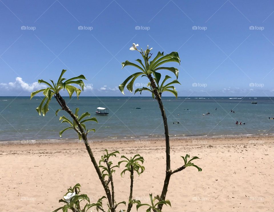 Aratuba beach, Vera Cruz, Itaparica island