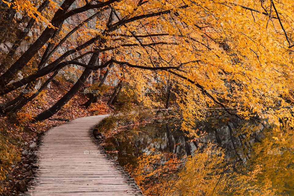 Empty wooden footpath under bautiful autumn trees by lake