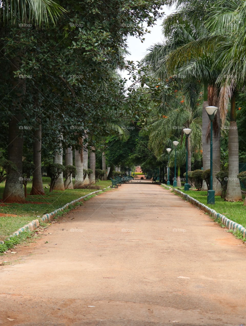 street park