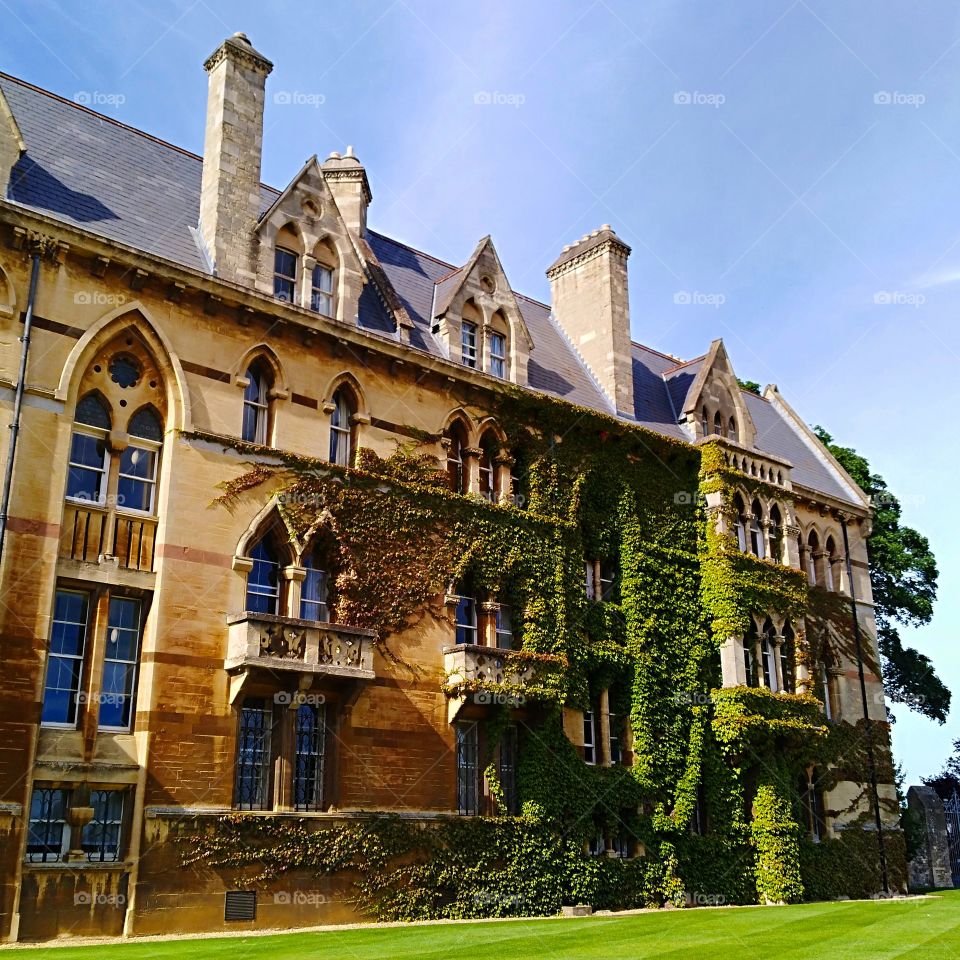 Just a quick photo taken from the Oxford University grounds. Vibrant green leaves along the building and the colour of the walls brings out a sharp and pop out look to the photo