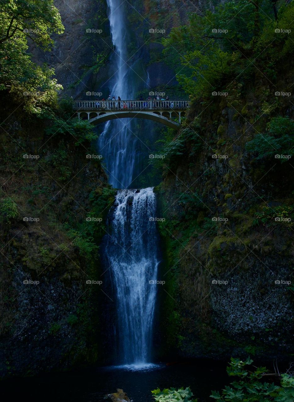 Multnomah Falls in Oregon