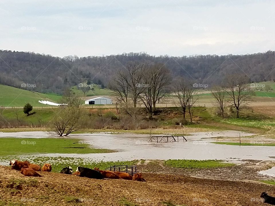 After the Storm,  flooding