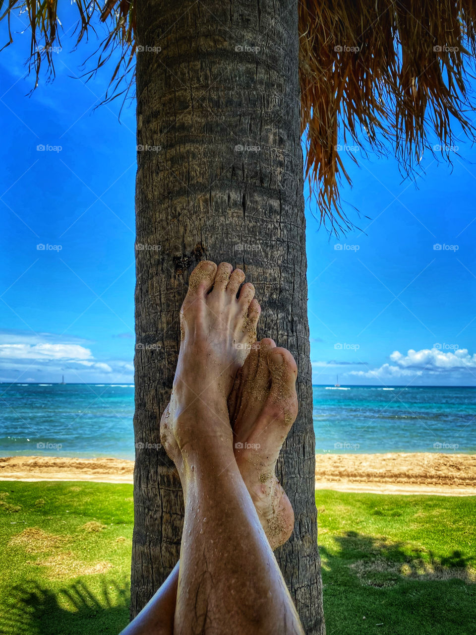 Sandy feet propped up on the trunk of a palm tree at the beach