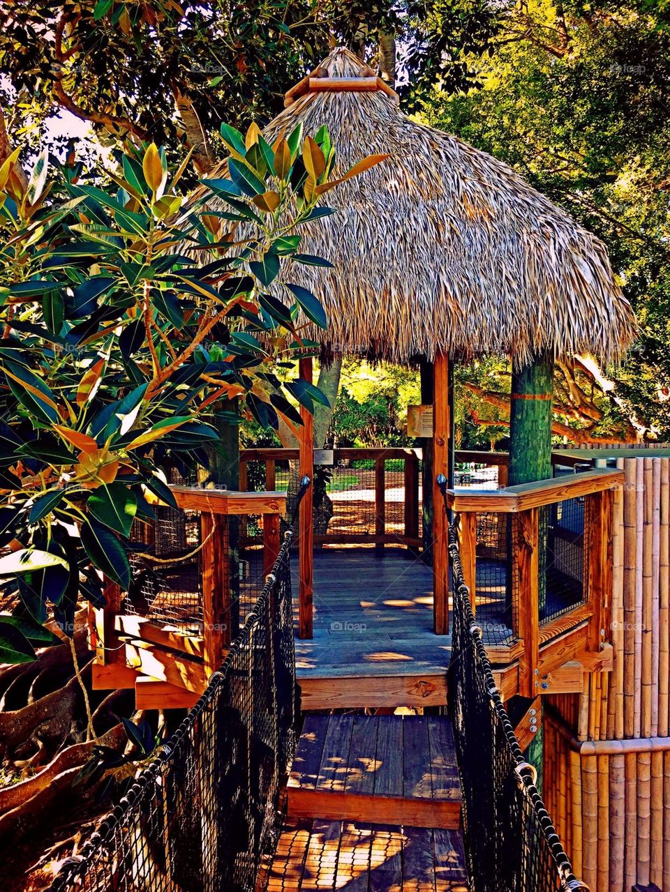Tiki hut and bridge