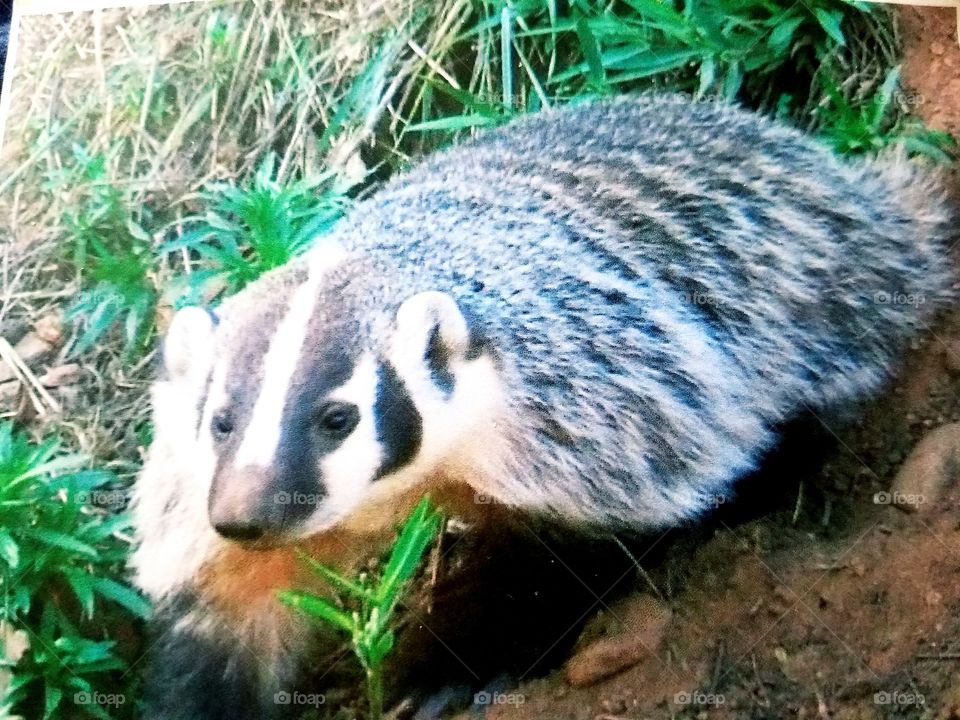 Enjoying the outdoors