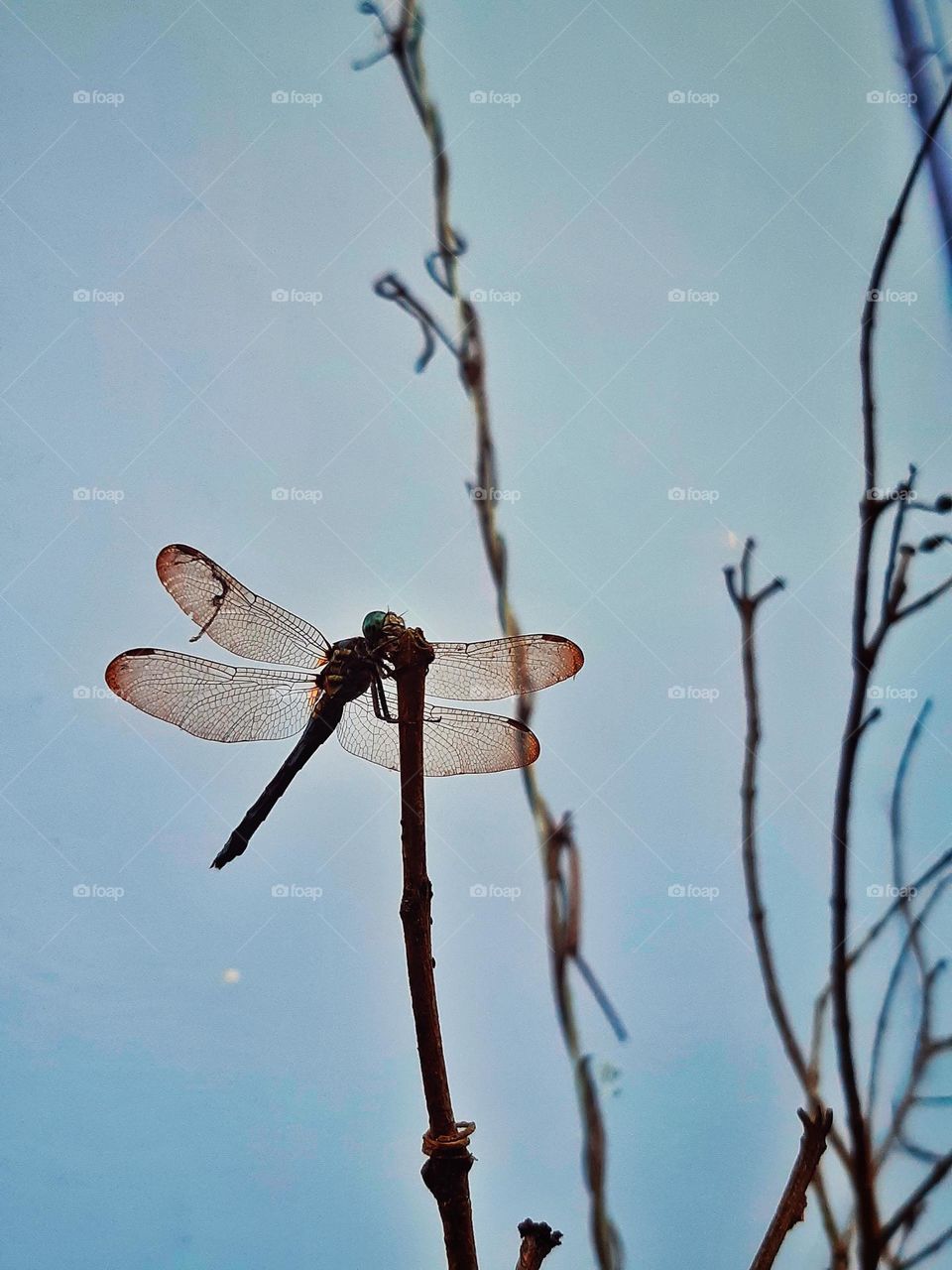 Good days are coming