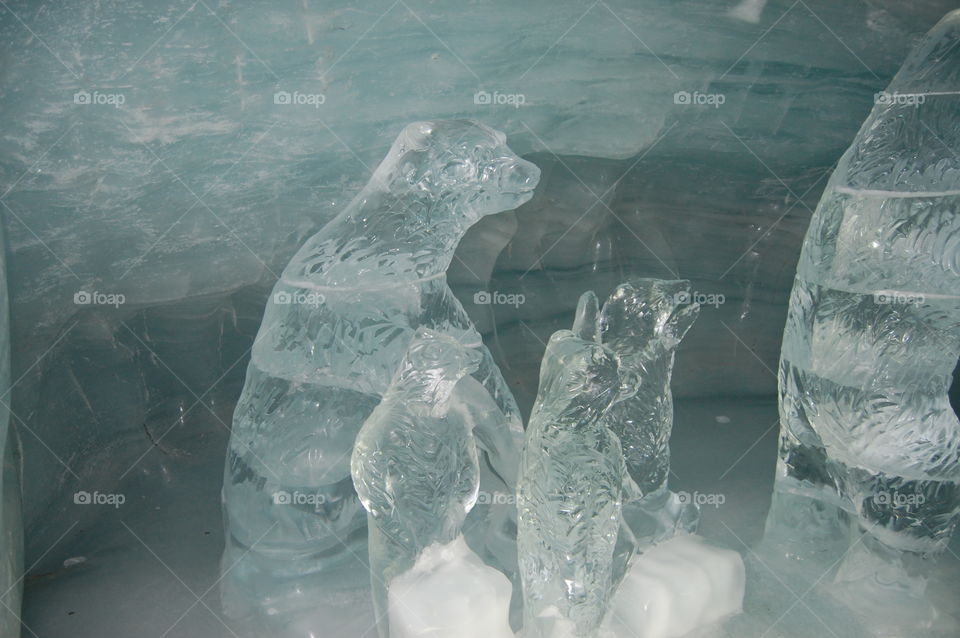 switzaland beauty
ice bear
family
love
creativity with ice