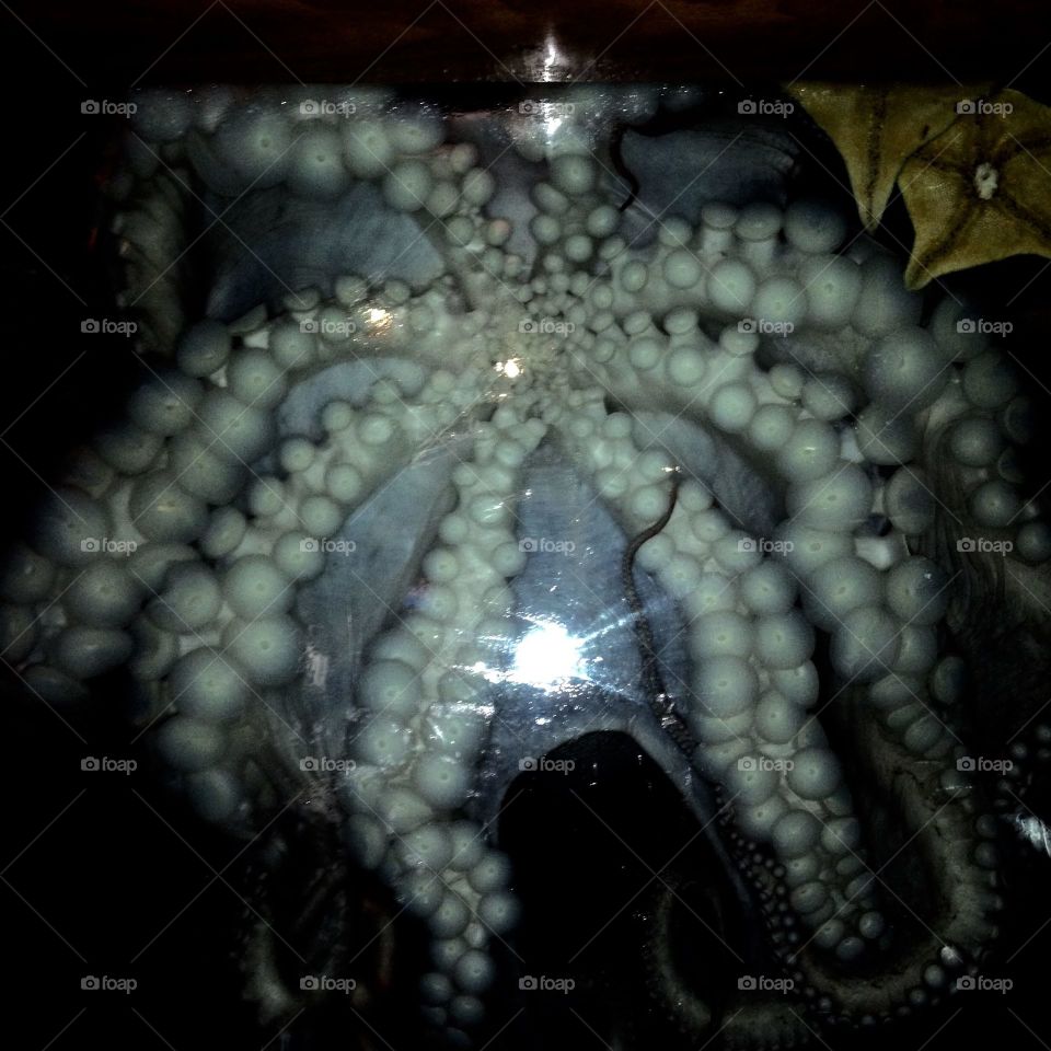 Photography started out as a hobby of mind and has grown into somewhat of a passion. I love sharing my work with others and I love that this platform allows photographers to receive praise and recognition for their work. I hope you enjoy my photos!